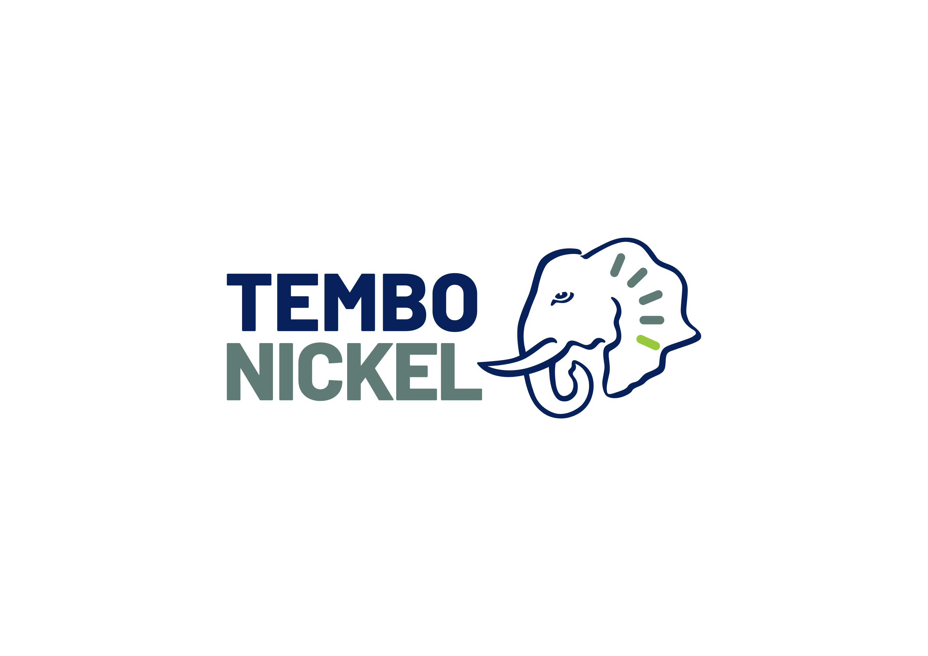 Tembonickel LOGO RGB Fullcolour