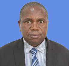 Mr. Adolf H Ndunguru